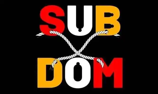 我的小伙伴居然是个喜欢挠痒痒的dom 一