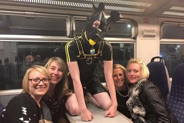 如何判断自己属于哪种K9犬系? 一