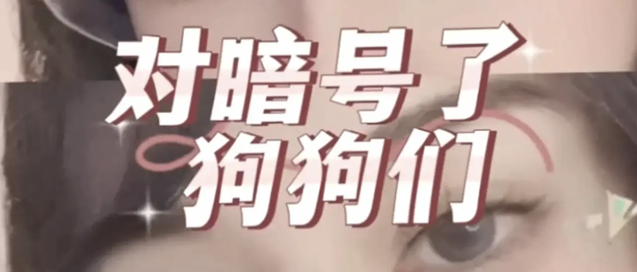 探索ds关系的魅力,你准备好了吗? 一