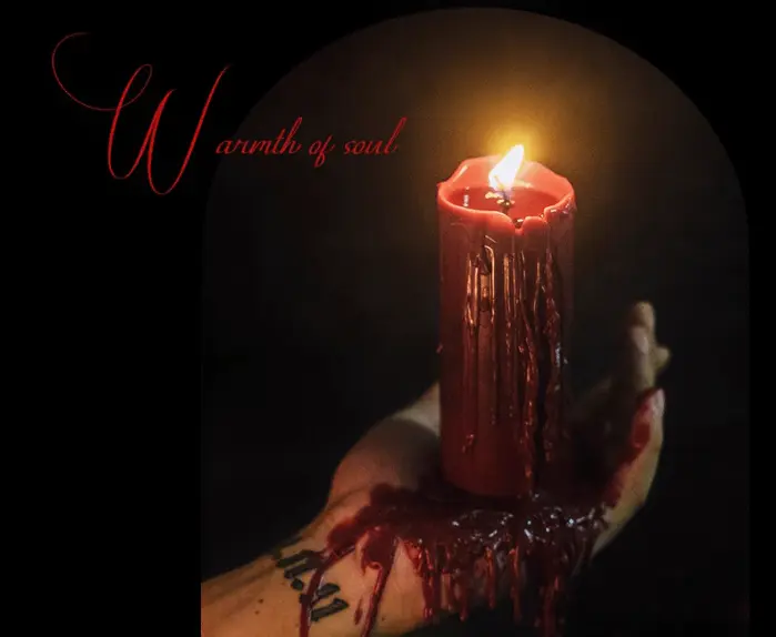 “K9是什么？”探秘狗圈文化与其背后的意义 一