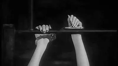 “进入k8猫系圈内前，你需要了解的秘密是什么？” 一