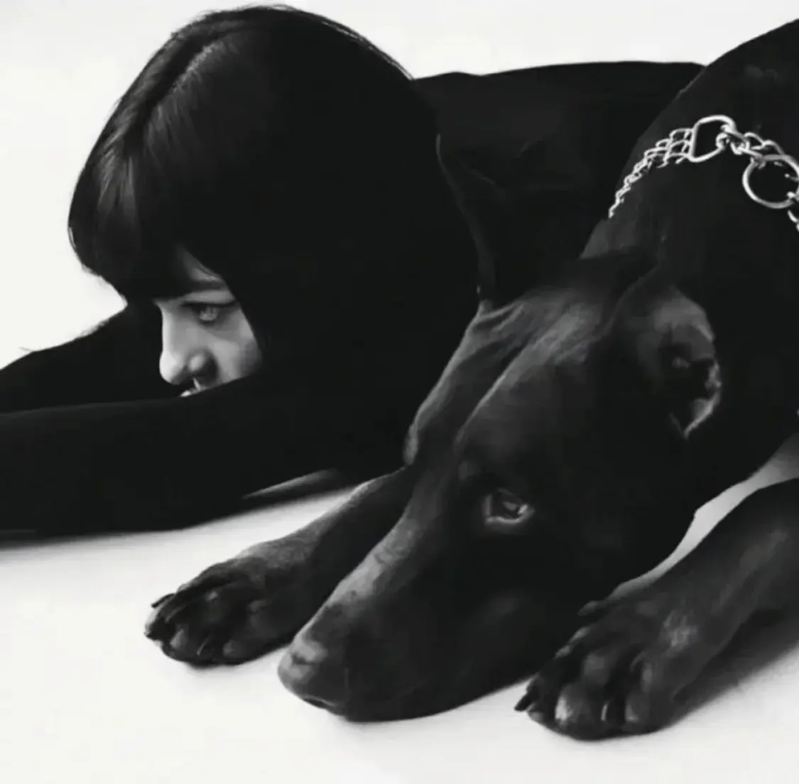 “sp小圈”揭秘:如何理解施虐与受虐者之间的关系? 一