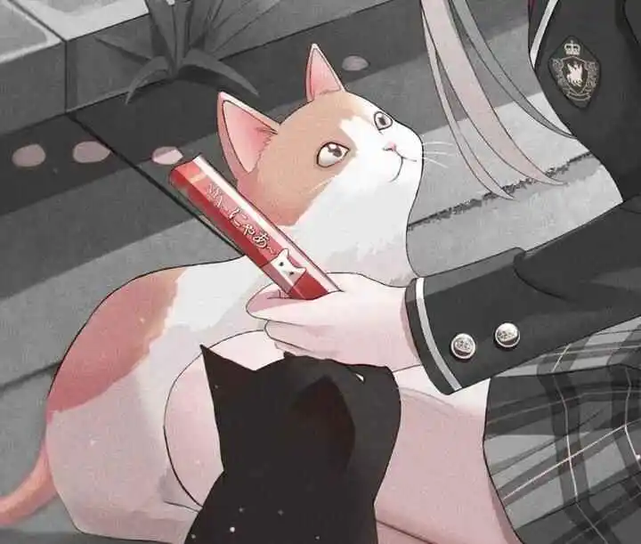 “想要探索BDSM世界却不知从何入手？来看看这份指南！” 一