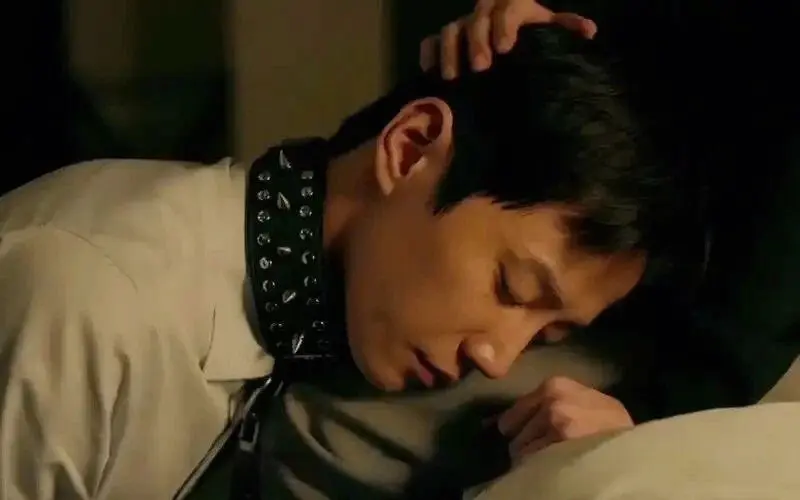 “你了解k9犬系的魅力和挑战吗?” 一