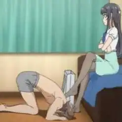 ds关系是什么?探索其中的秘密与激情 一