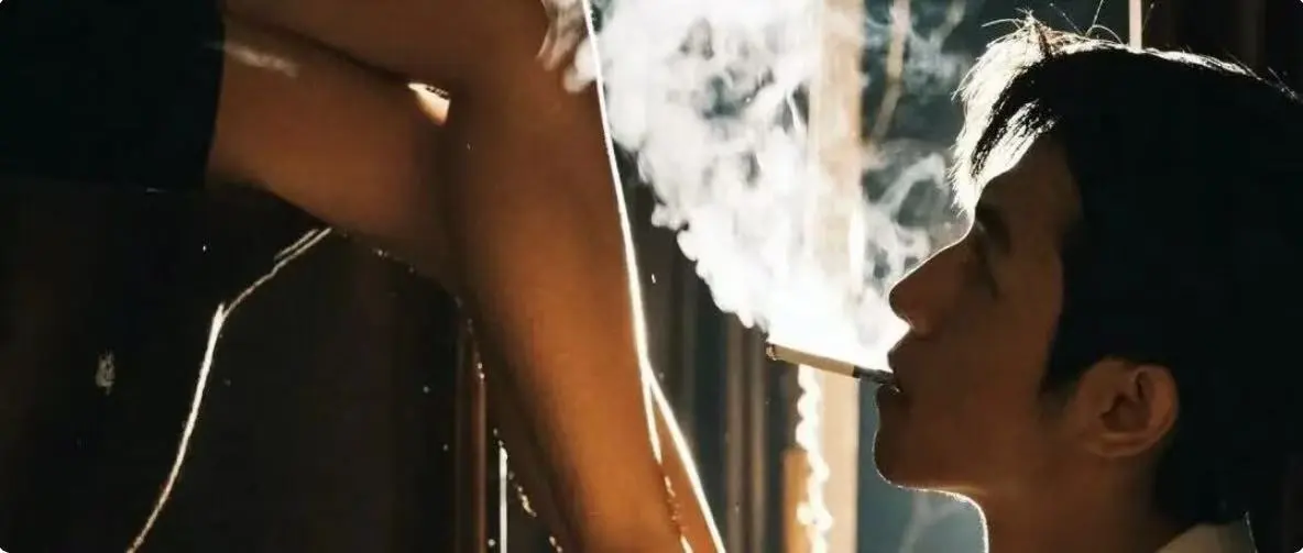 “m倾向”爱好者必看，这些你了解了吗？ 一