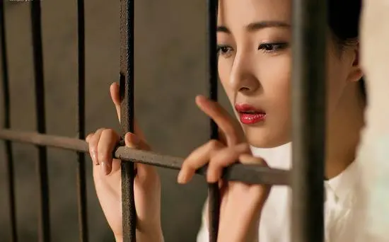 k8猫系的魅力究竟在哪里，如何找到你的理想伙伴 一