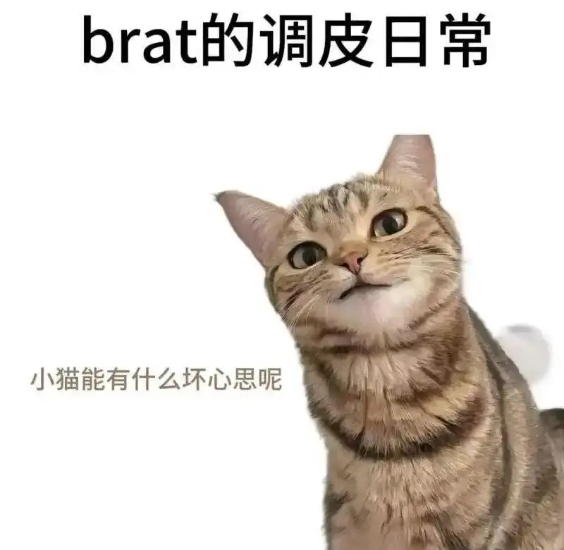

西檬之家sm亚文化安全实践指南 一