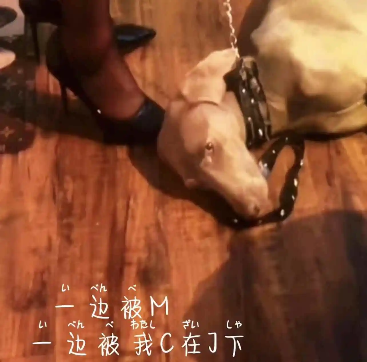 西檬之家s倾向是什么? 一