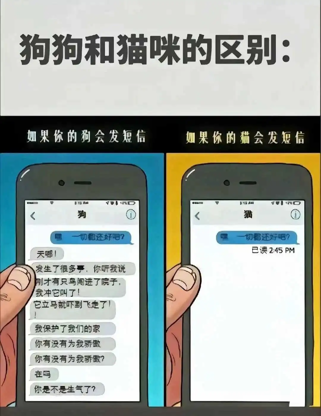 西檬之家k9犬系是什么? 一