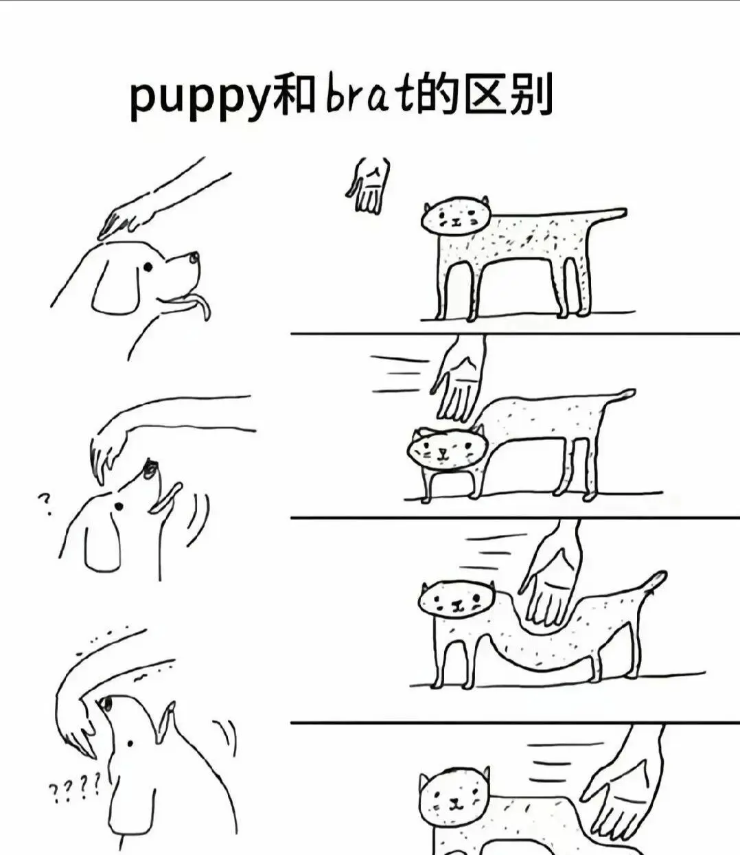 

西檬之家字母圈Aftercare指南 一