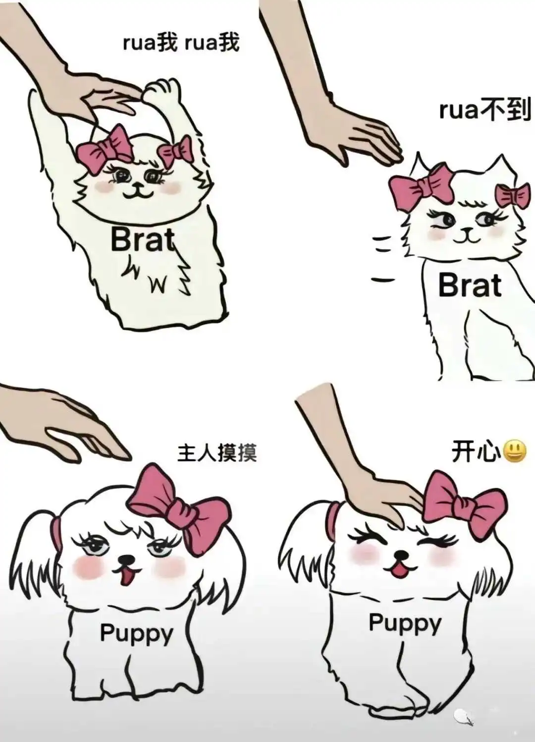 西檬之家DS关系怎么玩?字母圈新人入圈 一