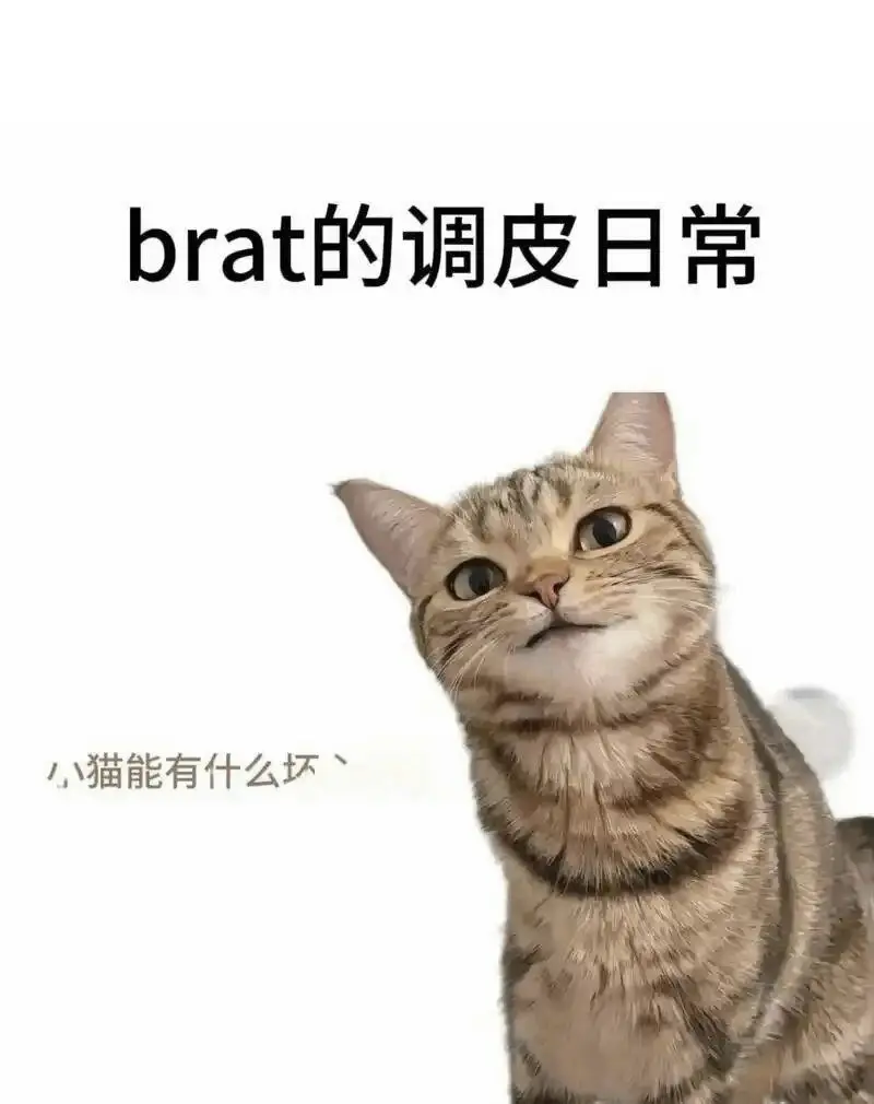 西檬之家DS关系是什么意思？ 一
